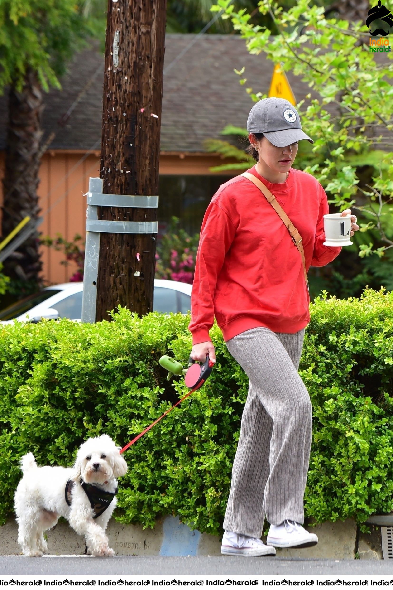 Lucy Hale walking Elvis in Los Angeles during Quarantine