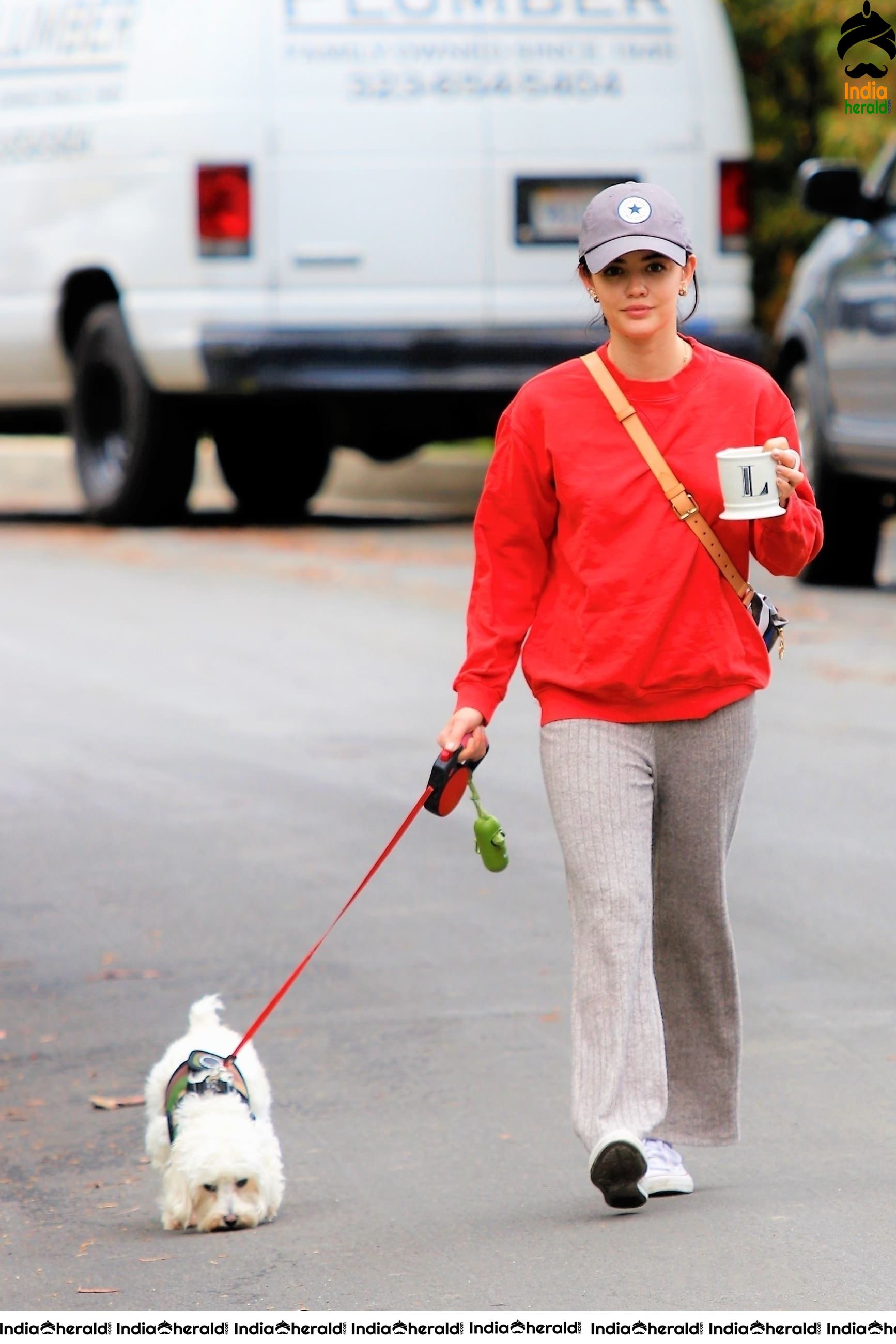 Lucy Hale walking Elvis in Los Angeles during Quarantine