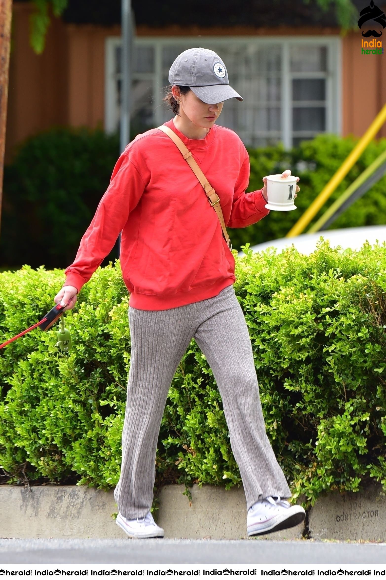 Lucy Hale walking Elvis in Los Angeles during Quarantine