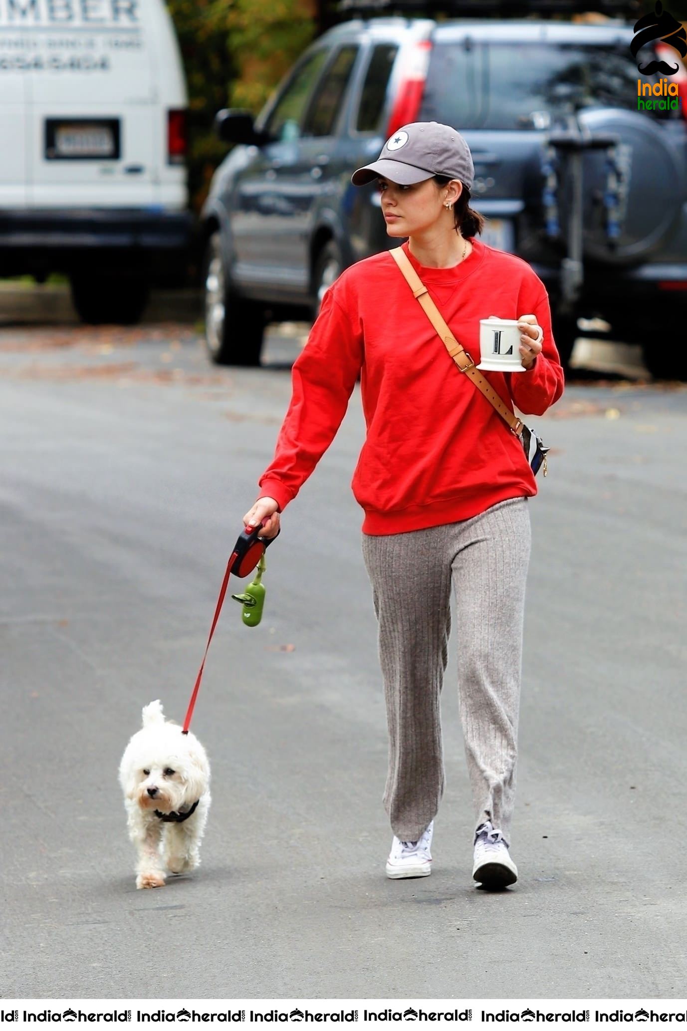 Lucy Hale walking Elvis in Los Angeles during Quarantine