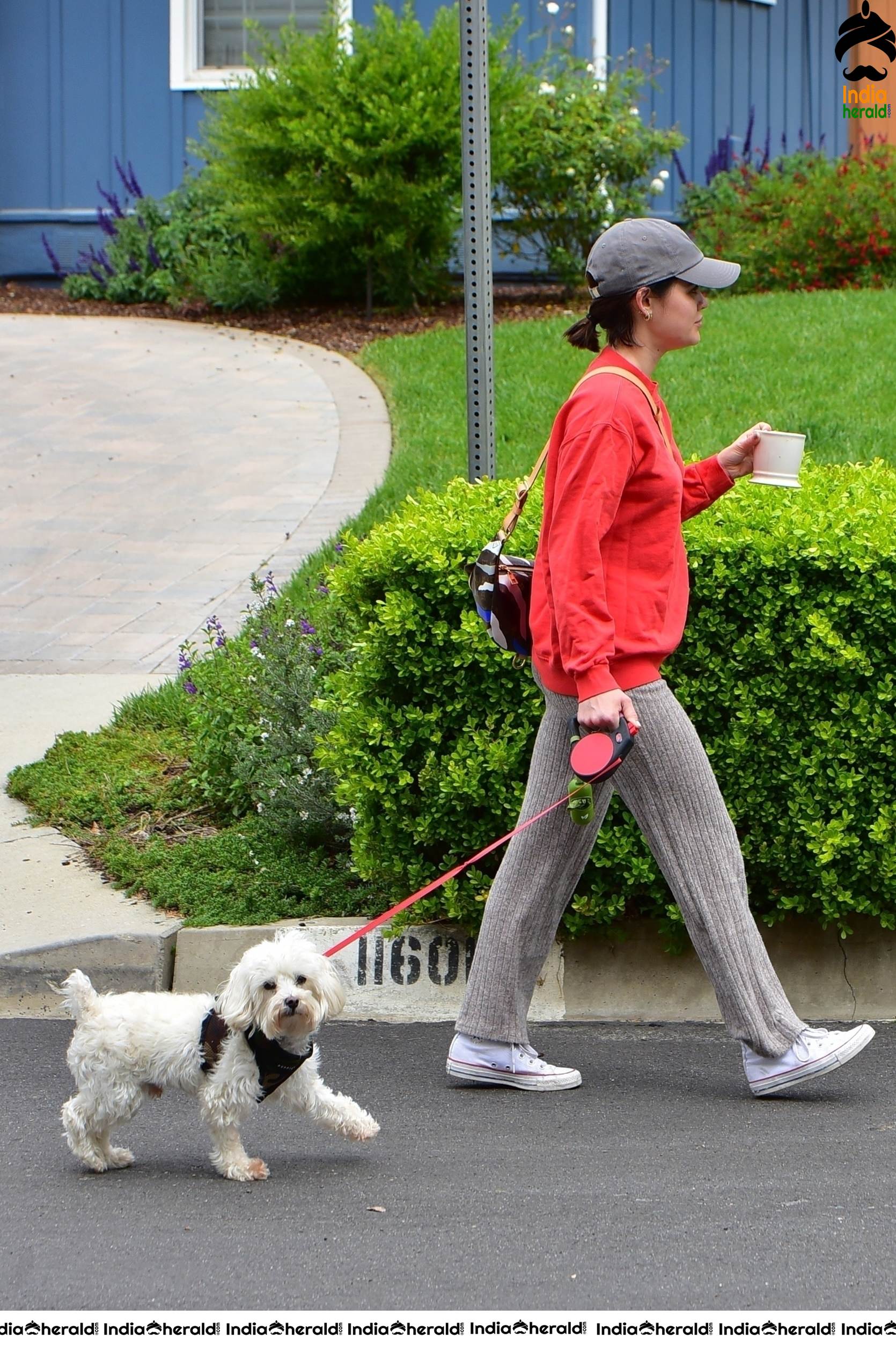 Lucy Hale walking Elvis in Los Angeles during Quarantine