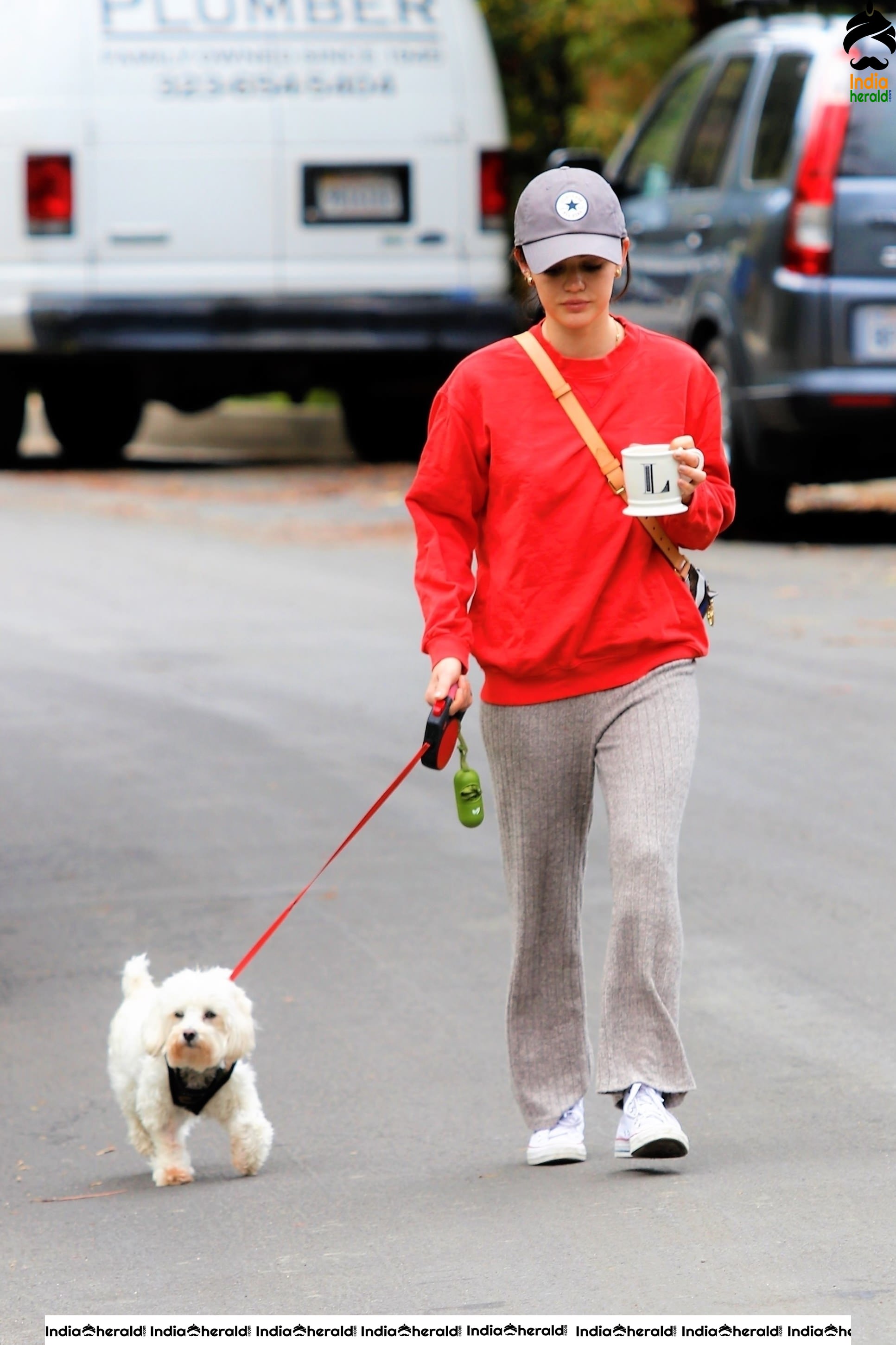 Lucy Hale walking Elvis in Los Angeles during Quarantine