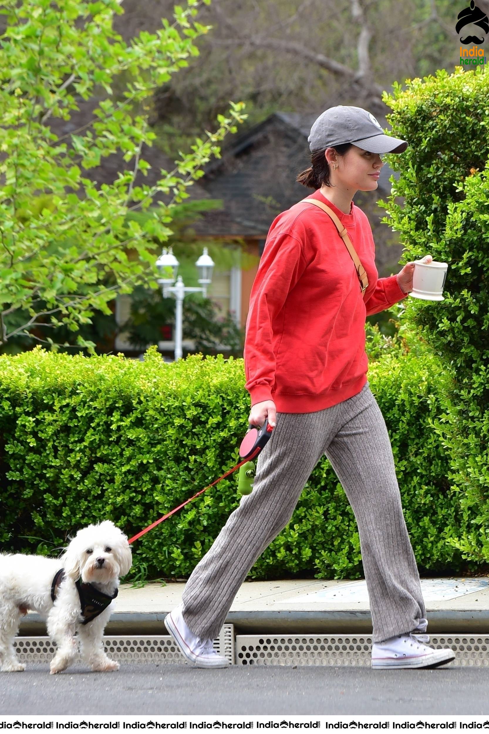 Lucy Hale walking Elvis in Los Angeles during Quarantine