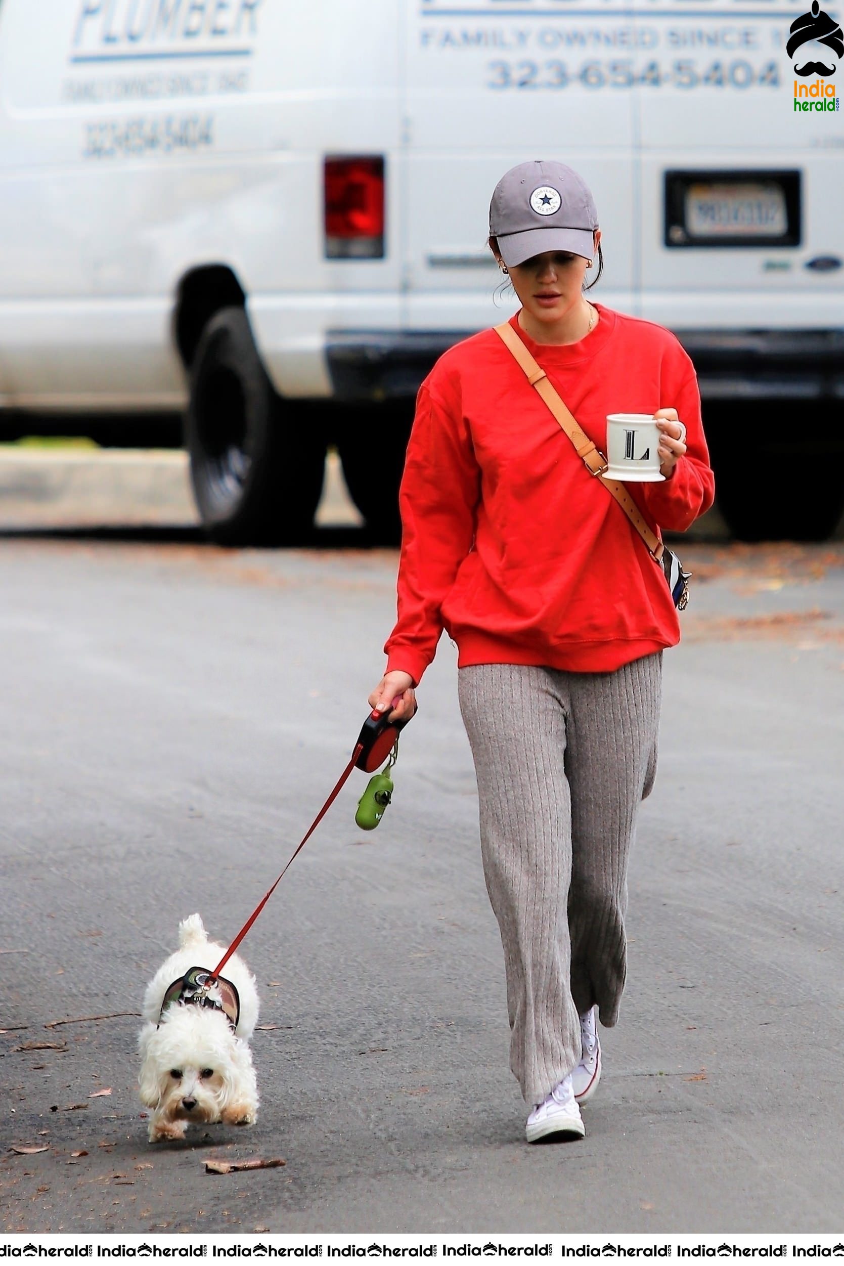 Lucy Hale walking Elvis in Los Angeles during Quarantine