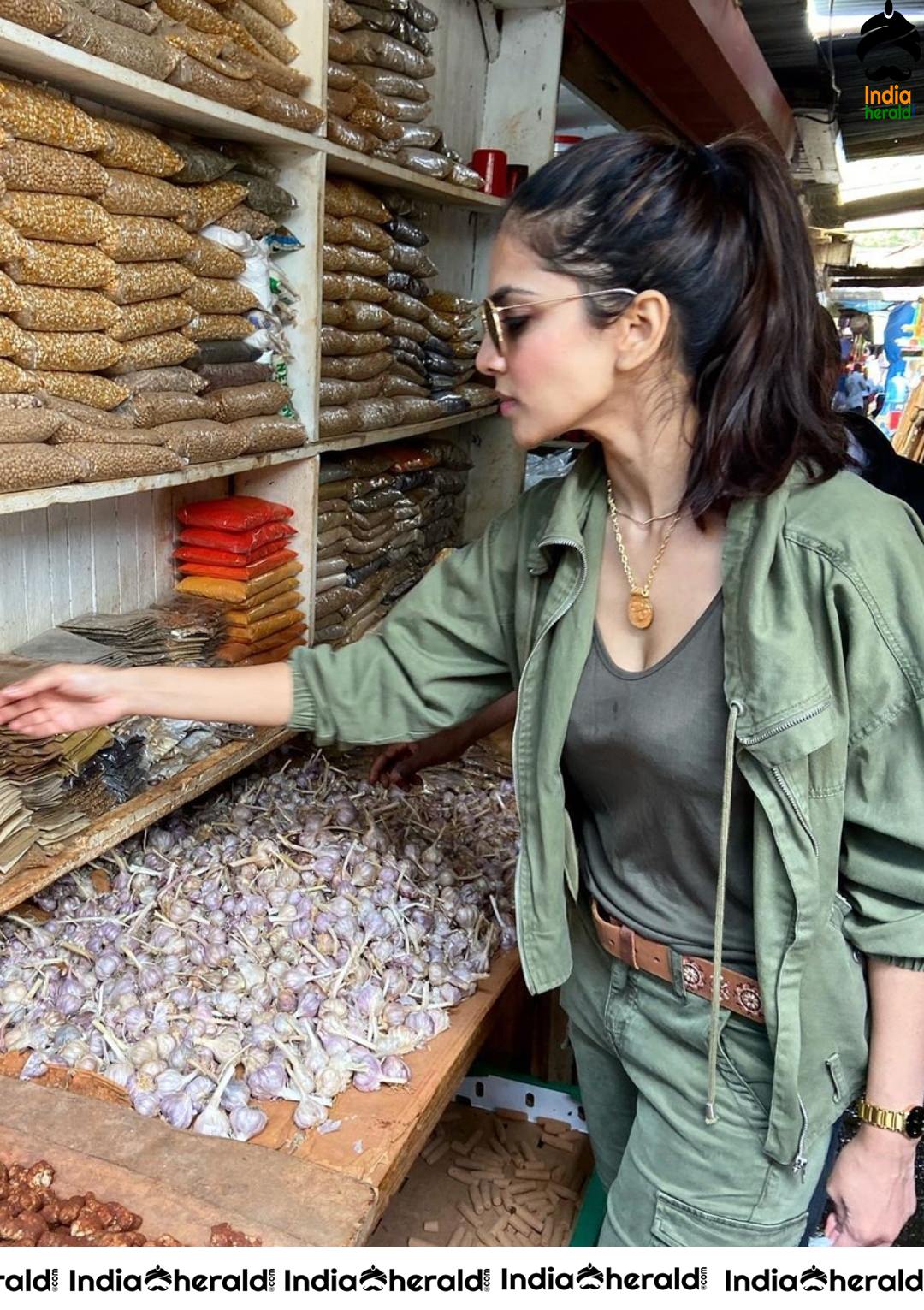 Malavika mohanan Latest Photos Collection