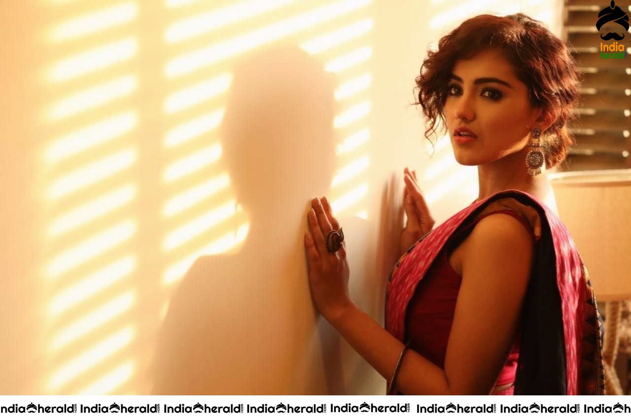 Malavika Sharma Latest Hot Photos Collection