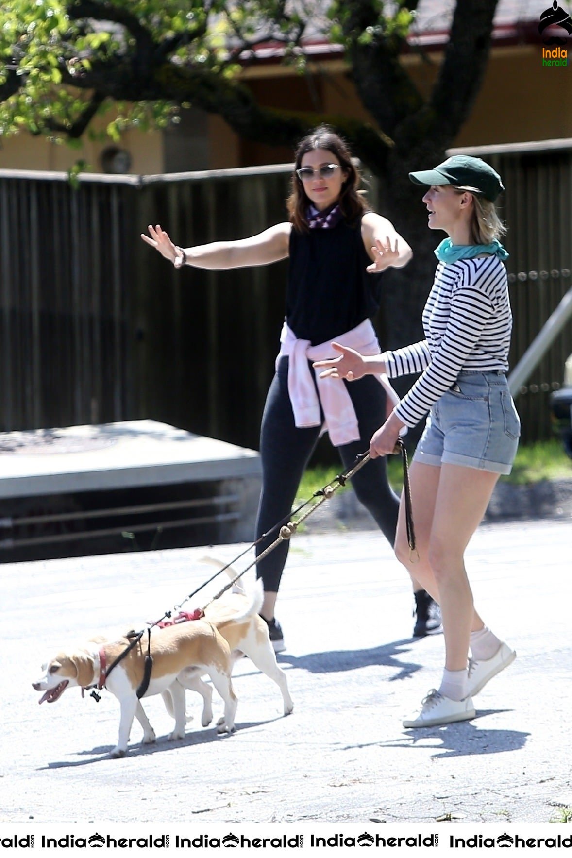 Mandy Moore caught by Paparazzi while walking her dog in Los Angeles
