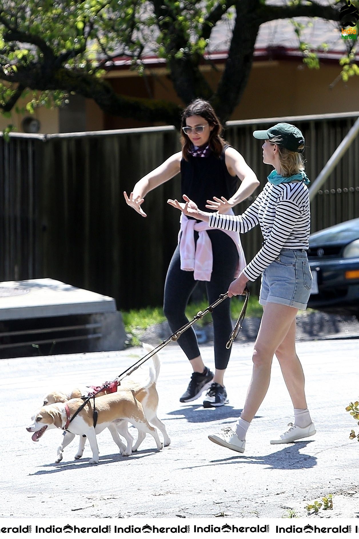Mandy Moore caught by Paparazzi while walking her dog in Los Angeles