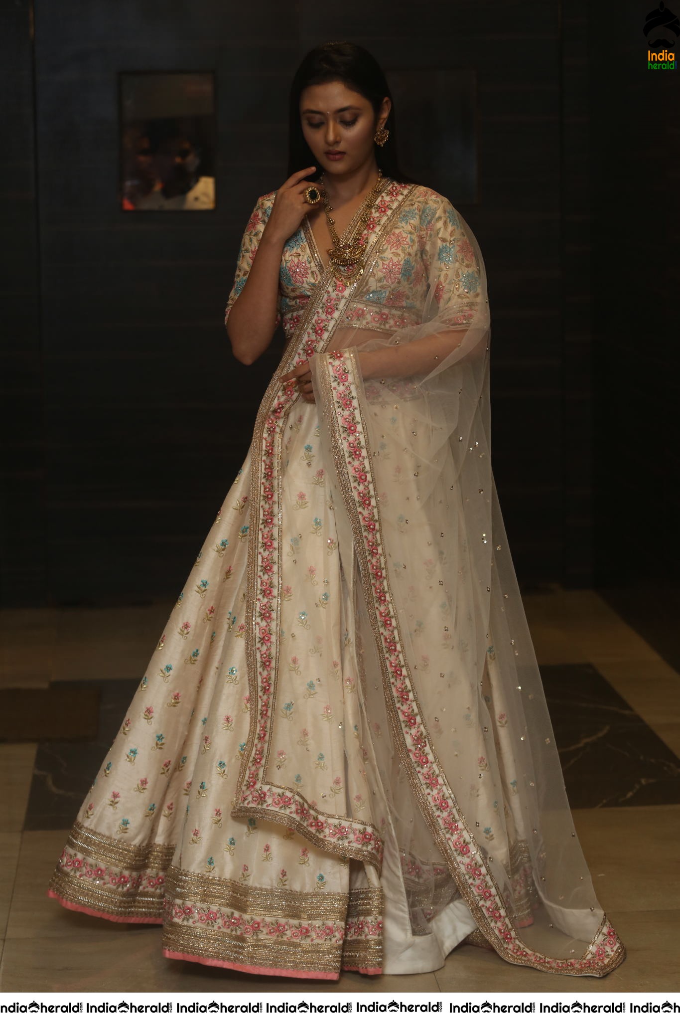 Megha Chowdary Shows her Tempting Hot Waistline during Press Meet Set 1