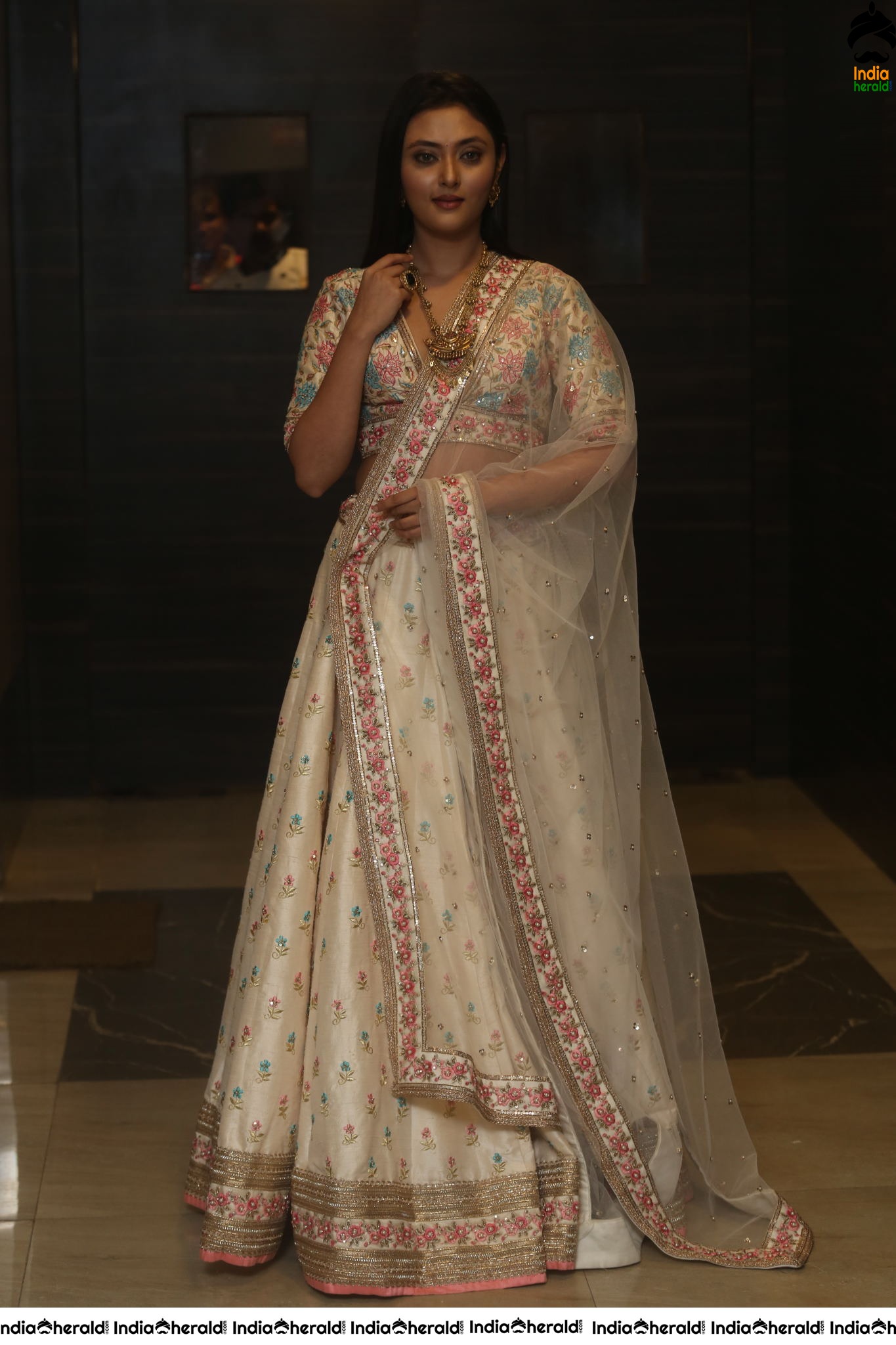 Megha Chowdary Shows her Tempting Hot Waistline during Press Meet Set 2