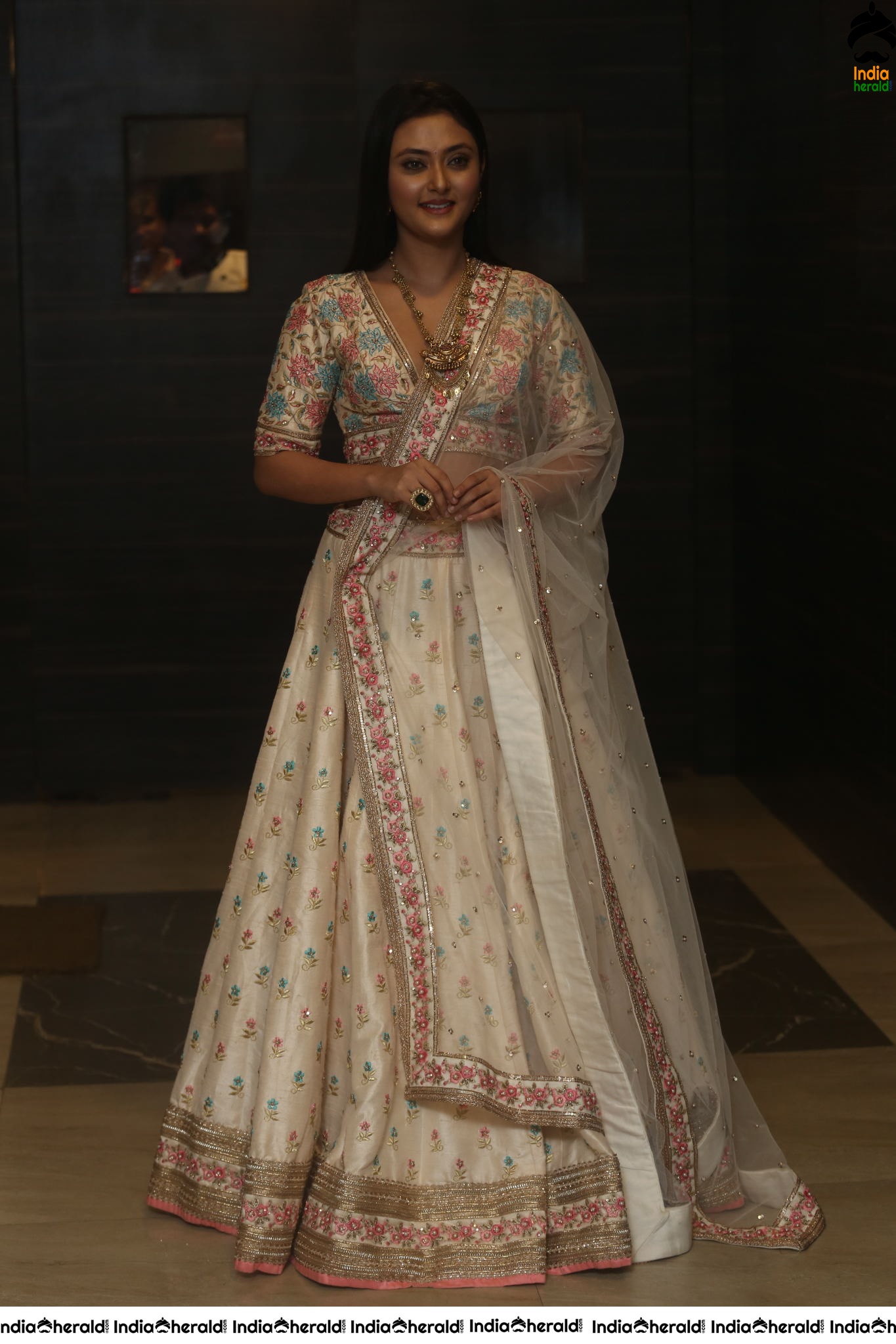 Megha Chowdary Shows her Tempting Hot Waistline during Press Meet Set 2