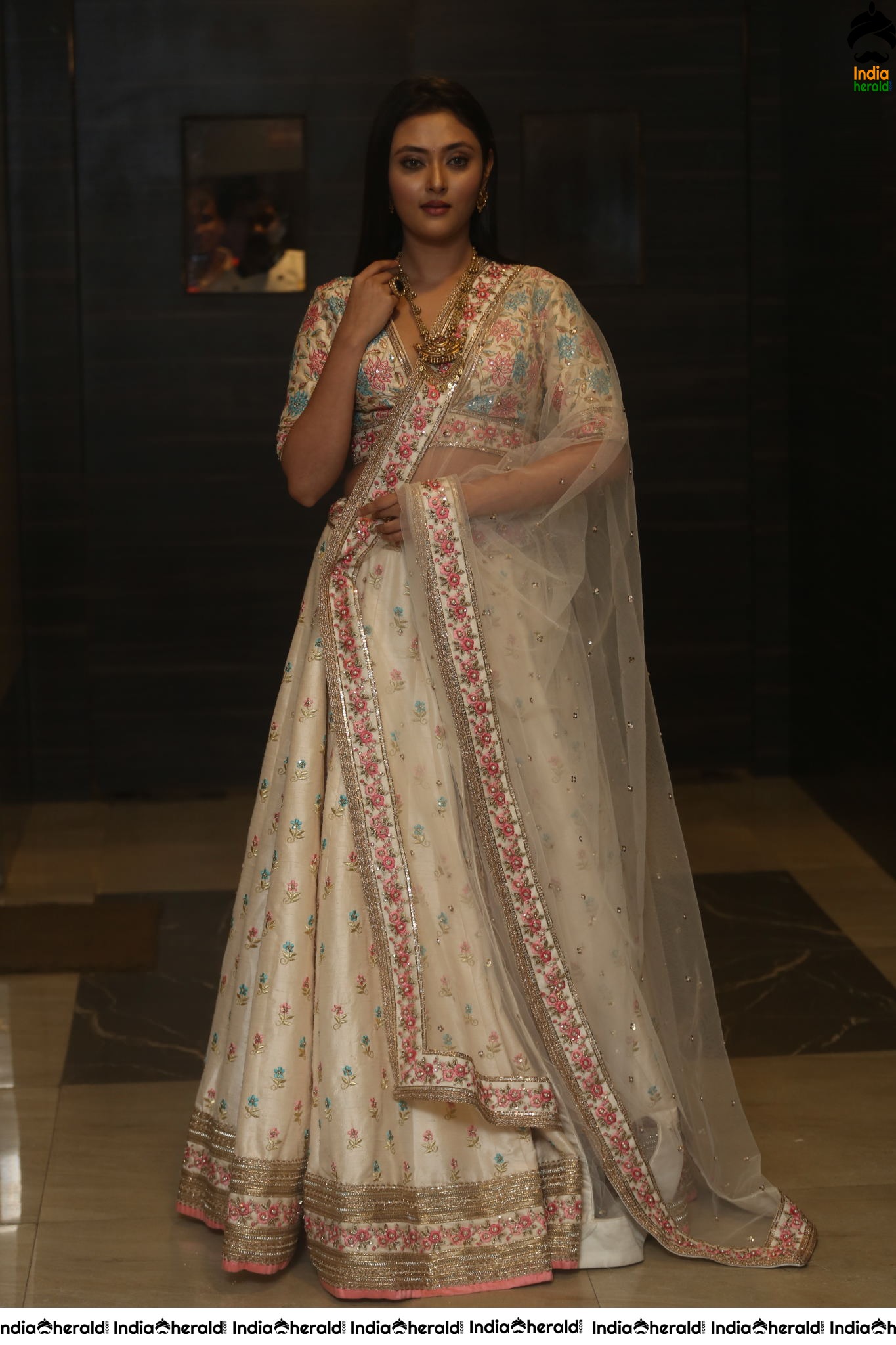 Megha Chowdary Shows her Tempting Hot Waistline during Press Meet Set 2