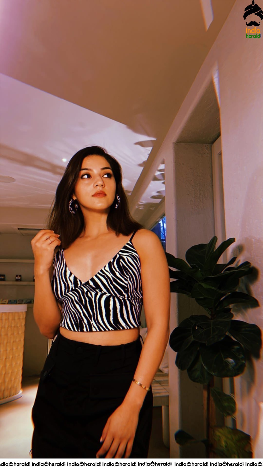 Mehreen Pirzada in Zebra Sports Bra and Short Black Skirt Hot Photos