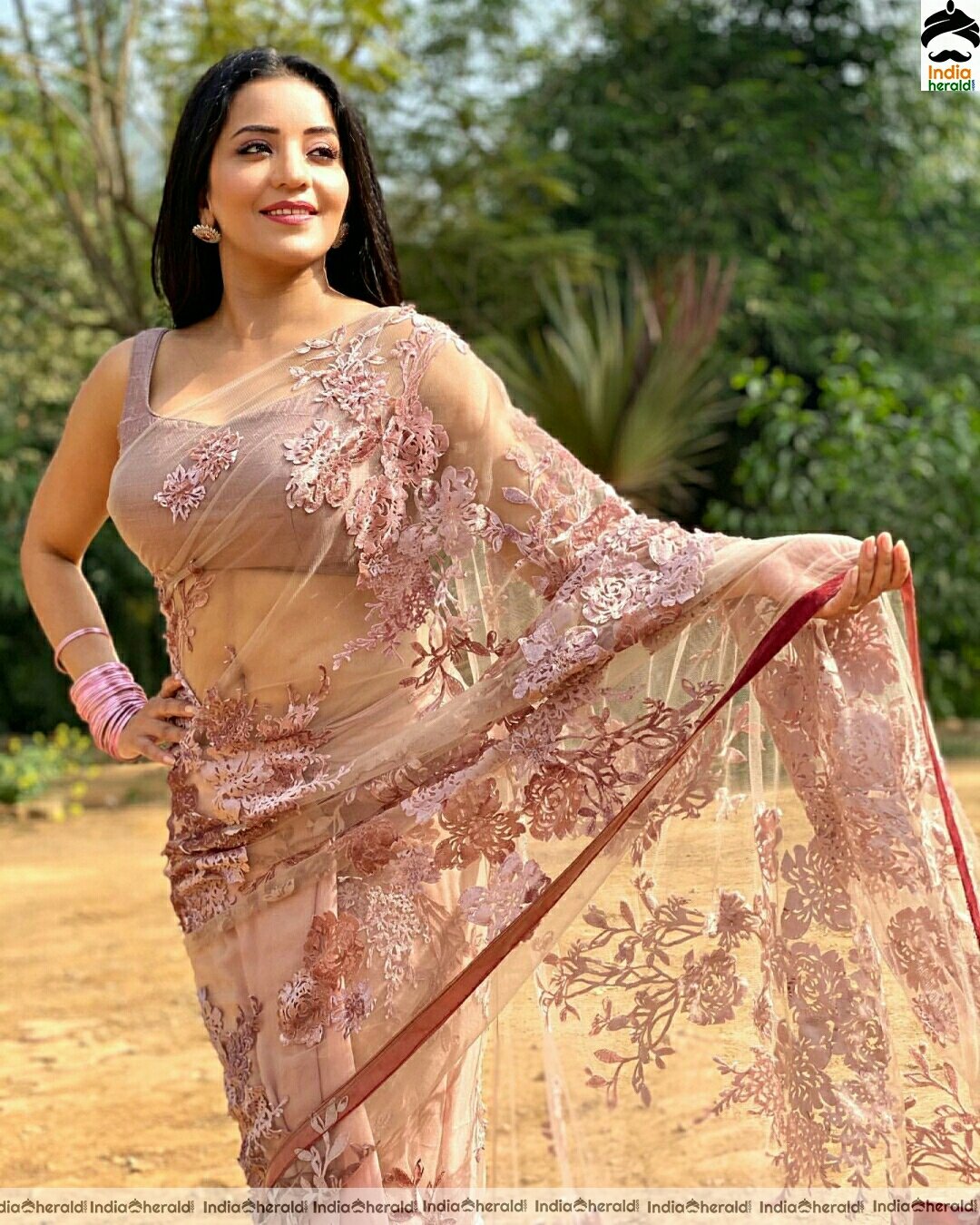 Monalisa Hot In Net Transparent Saree Stills