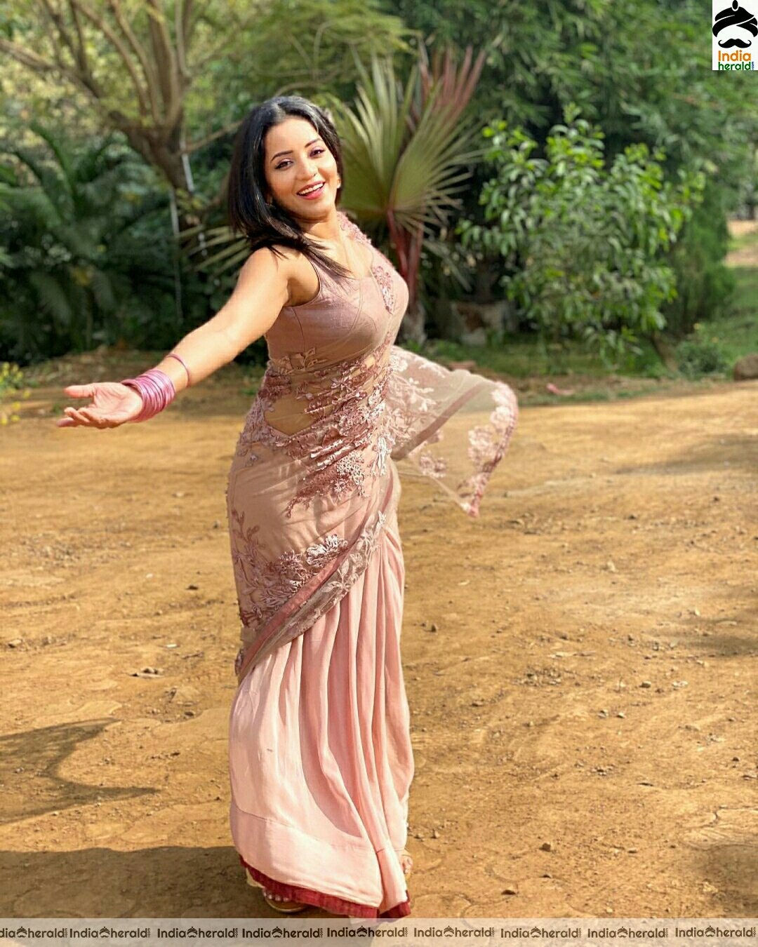 Monalisa Hot In Net Transparent Saree Stills