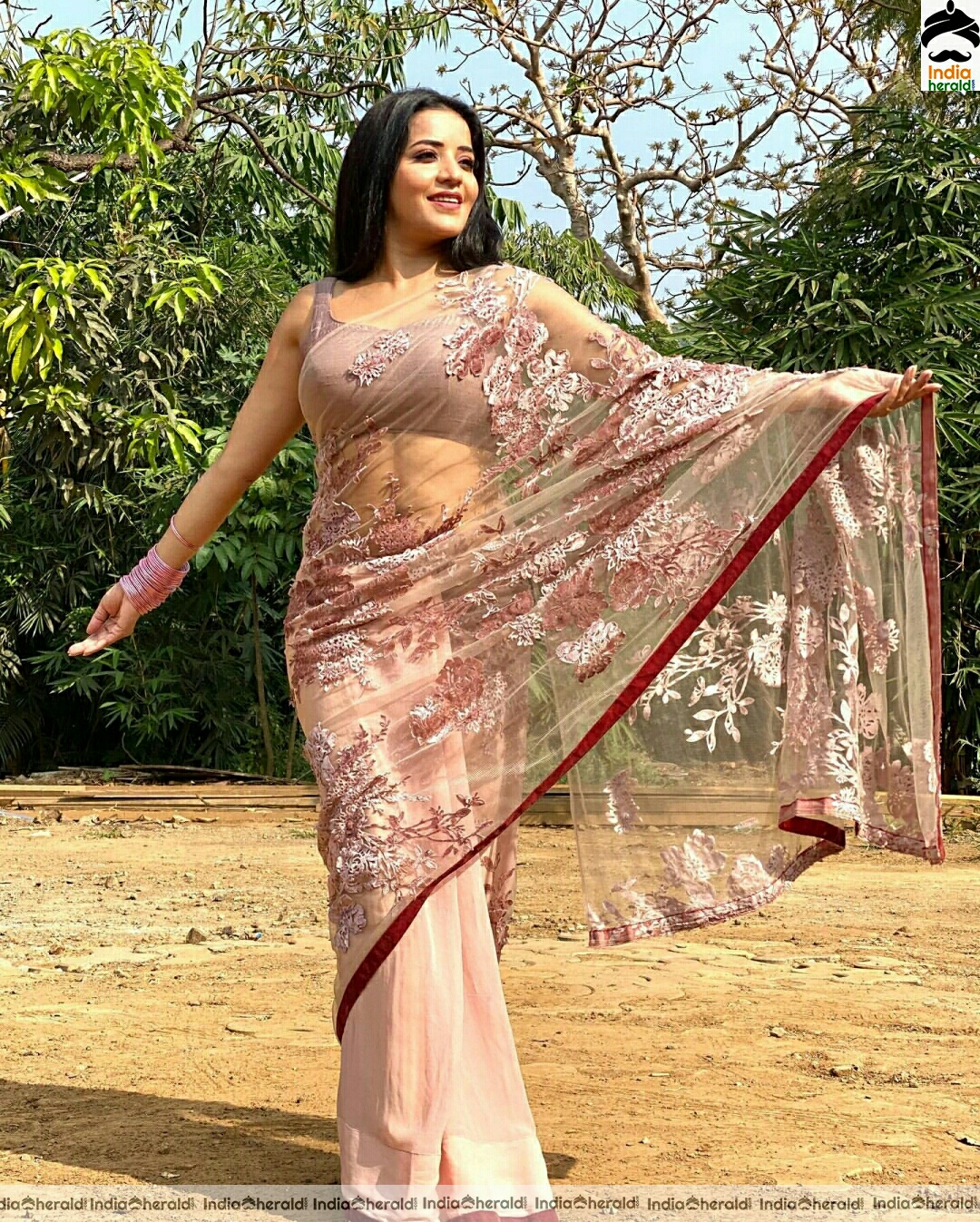 Monalisa Hot In Net Transparent Saree Stills