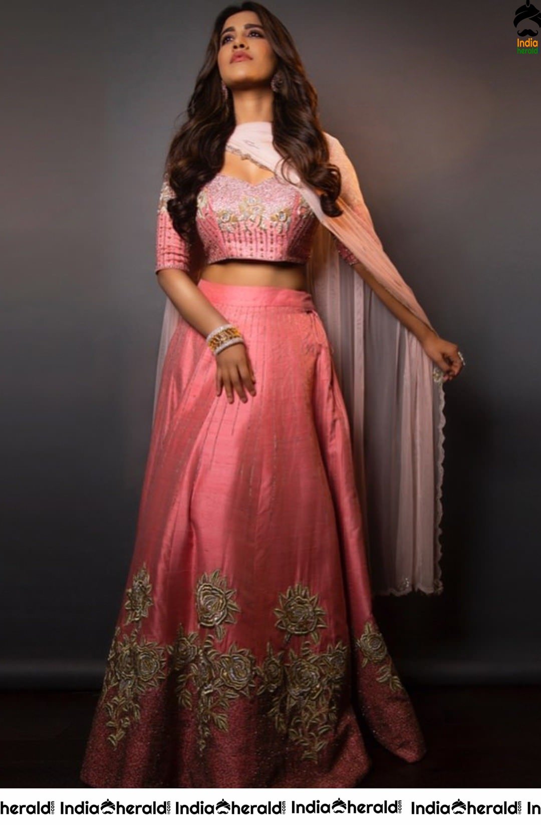 Nabha Natesh Hot Photoshoot during the promotions of Disco Raja