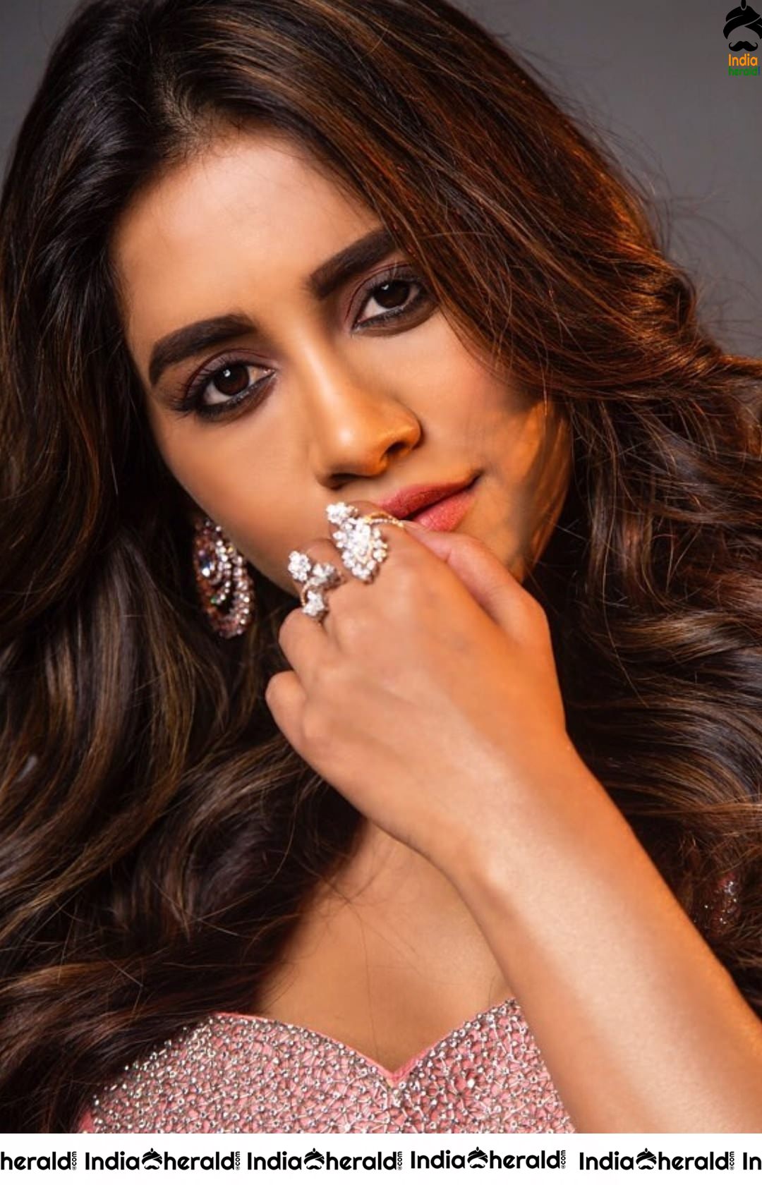 Nabha Natesh Hot Photoshoot during the promotions of Disco Raja