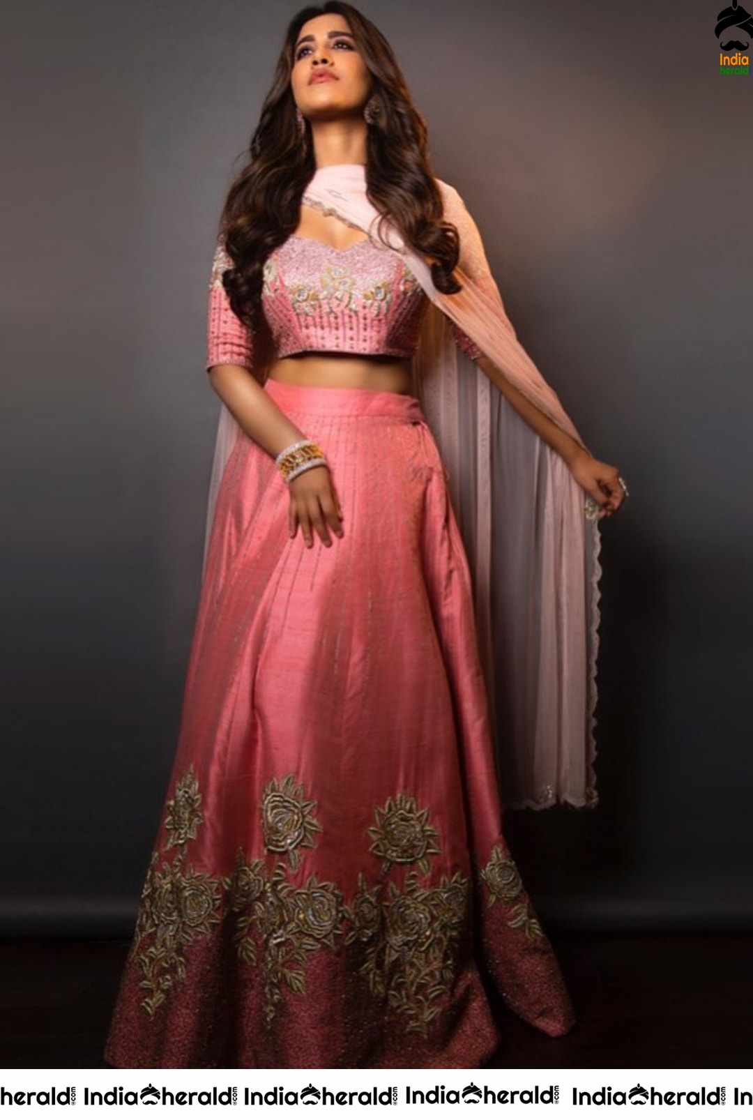 Nabha Natesh Hot Photoshoot during the promotions of Disco Raja