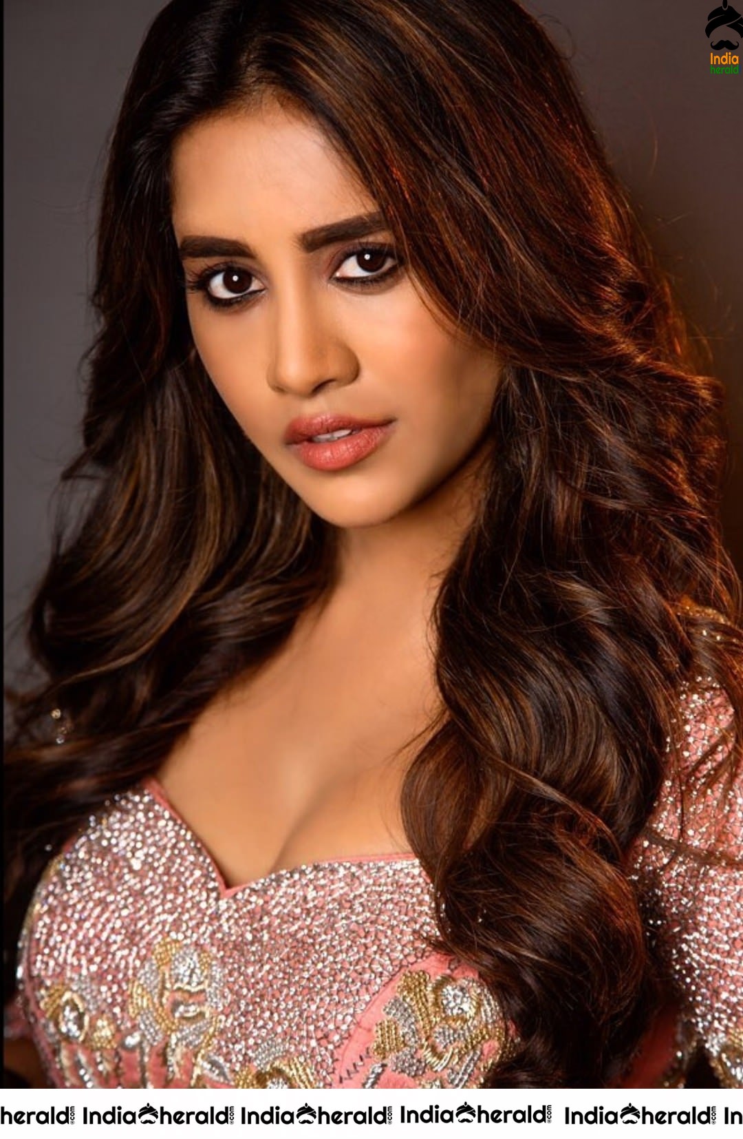 Nabha Natesh Hot Photoshoot during the promotions of Disco Raja