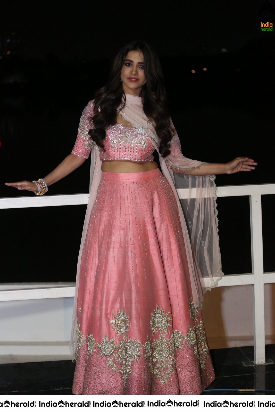 Nabha Natesh Looking Super Sexy in Waist Revealing Attire Set 1