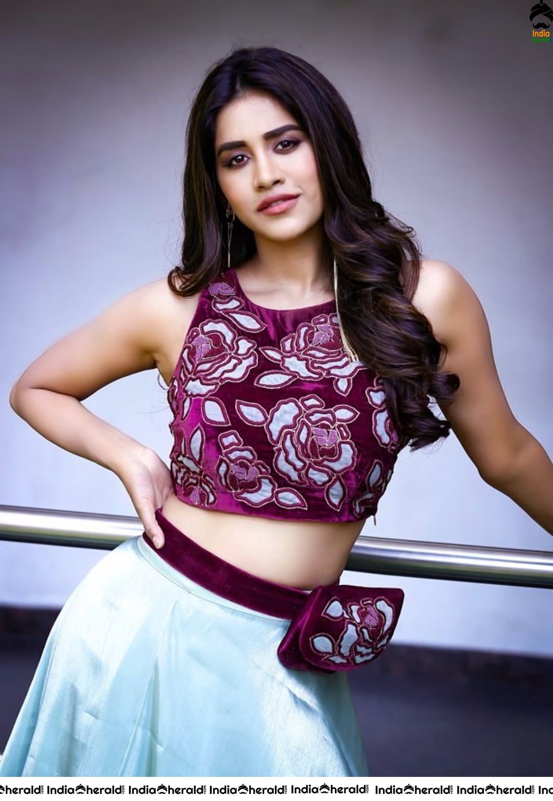 Nabha Natesh Recent Tempting Hot Photoshoot Stills