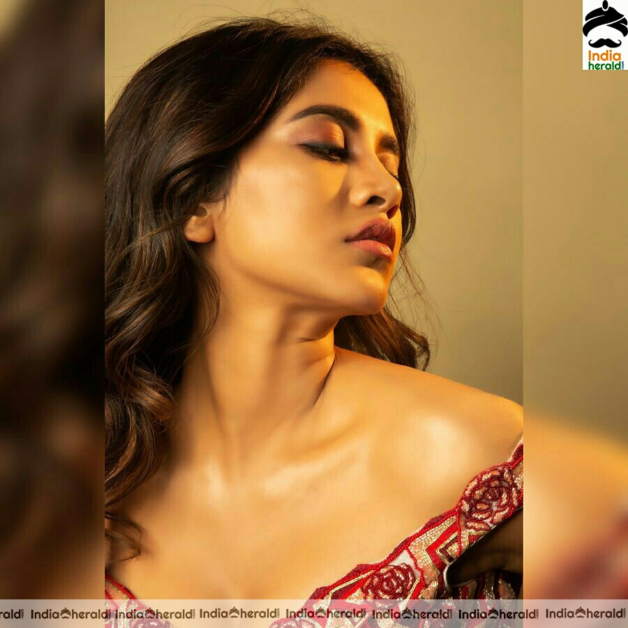 Nabha Natesh Showing A Sexy Hot Tummy In These Latest Photoshoot