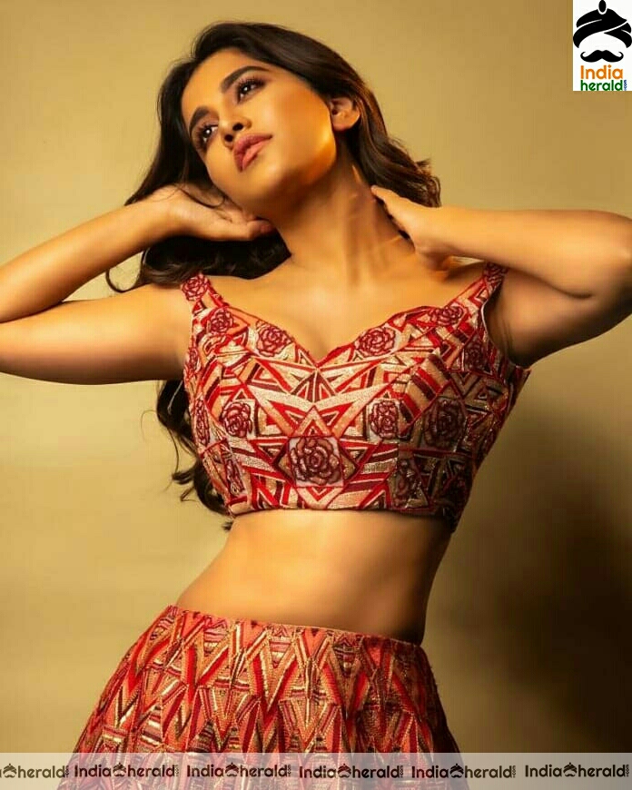 Nabha Natesh Showing A Sexy Hot Tummy In These Latest Photoshoot