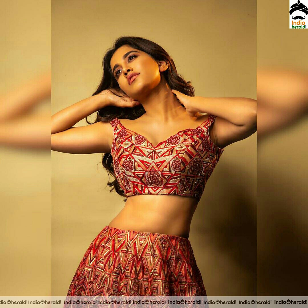 Nabha Natesh Showing A Sexy Hot Tummy In These Latest Photoshoot