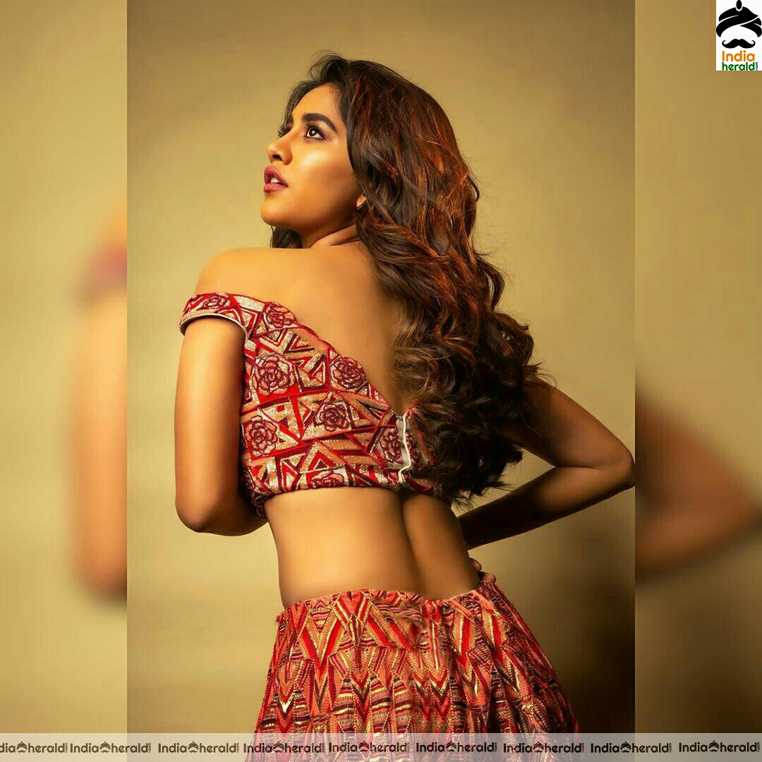 Nabha Natesh Showing A Sexy Hot Tummy In These Latest Photoshoot