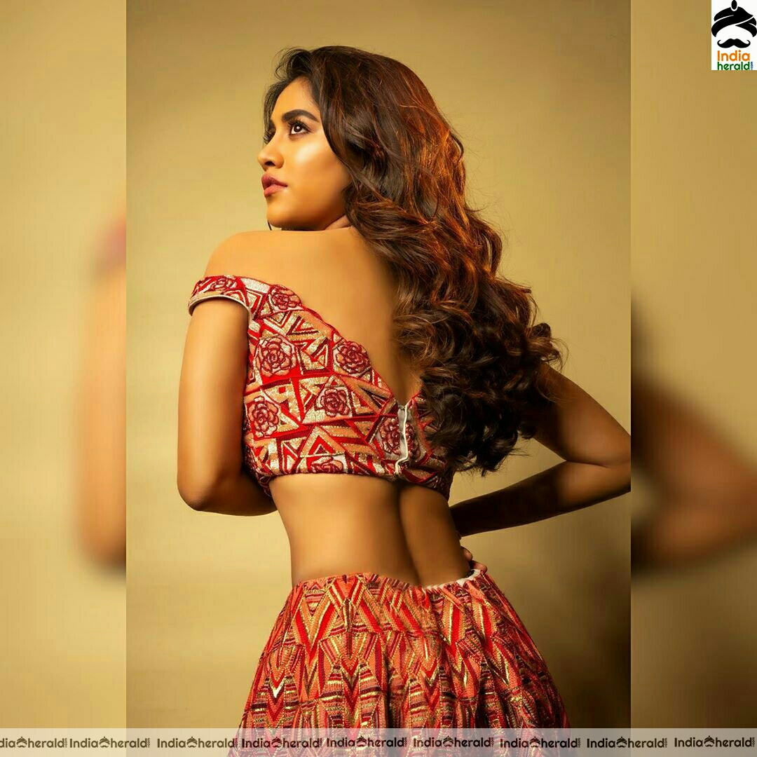 Nabha Natesh Showing A Sexy Hot Tummy In These Latest Photoshoot