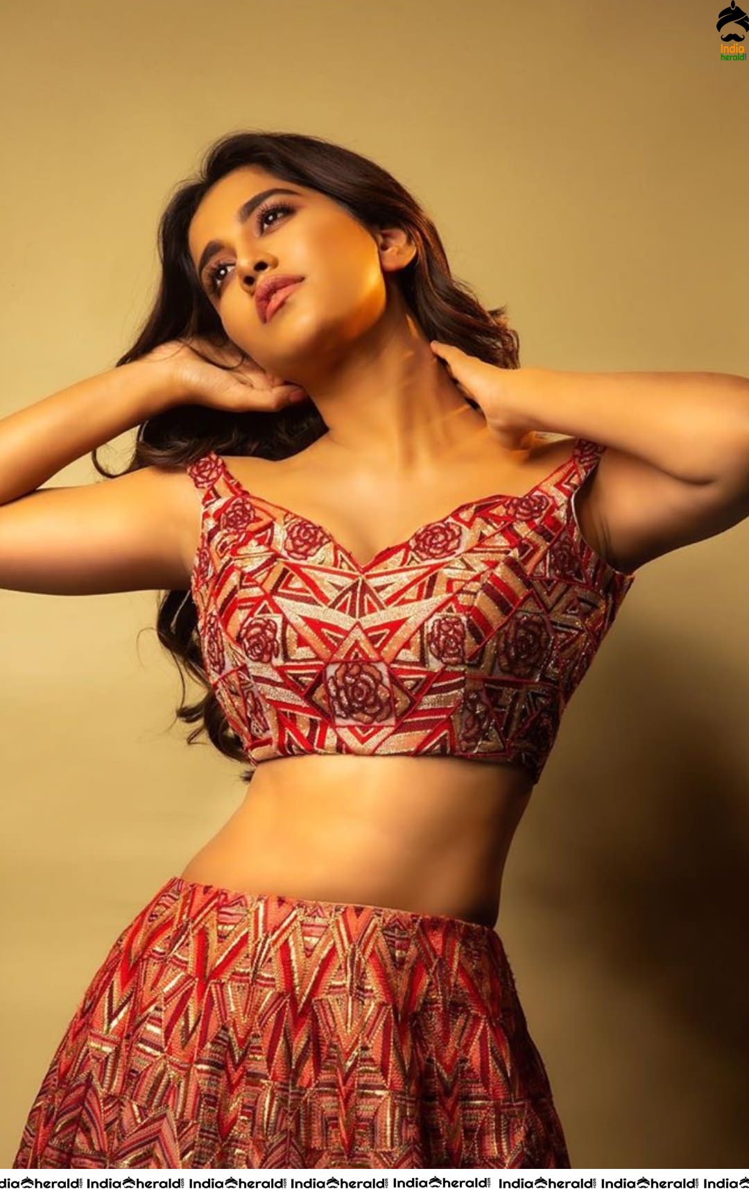 Nabha Natesh Shows her Sexy waist in this Latest Hot Photoshoot