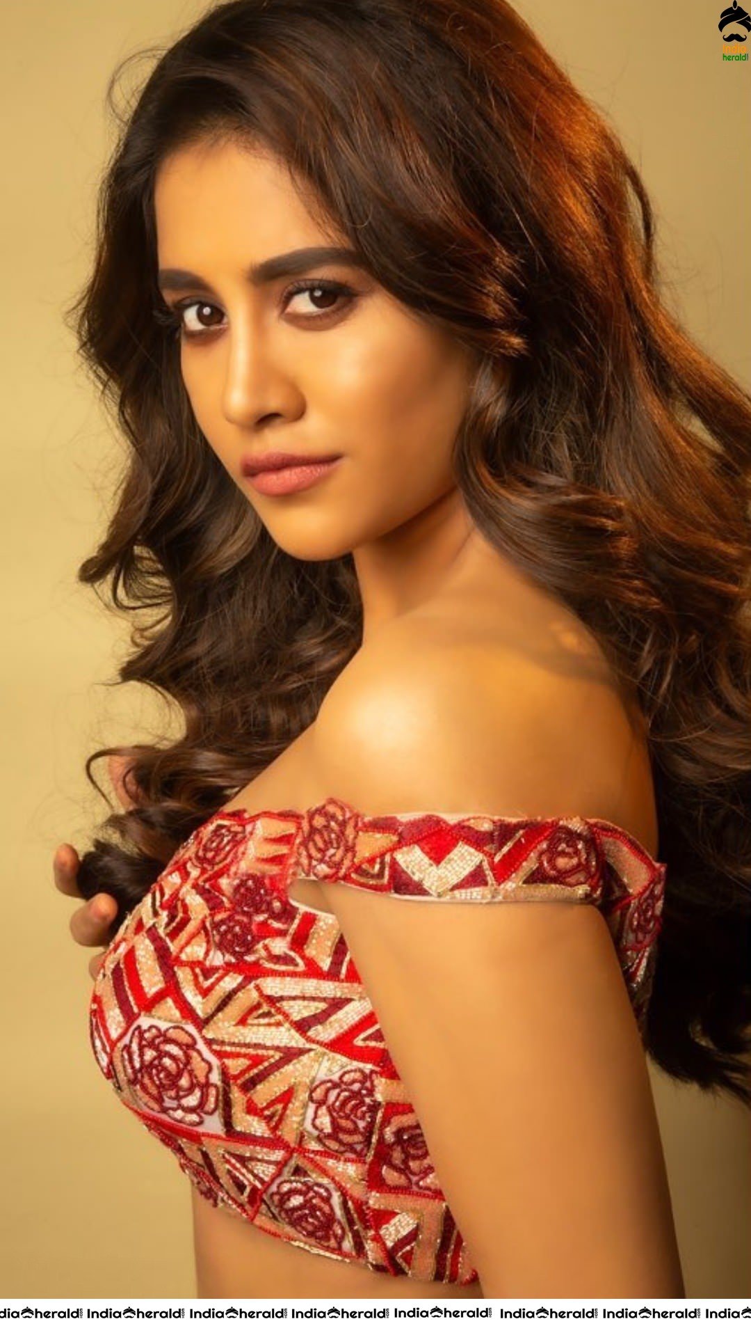 Nabha Natesh Shows her Sexy waist in this Latest Hot Photoshoot