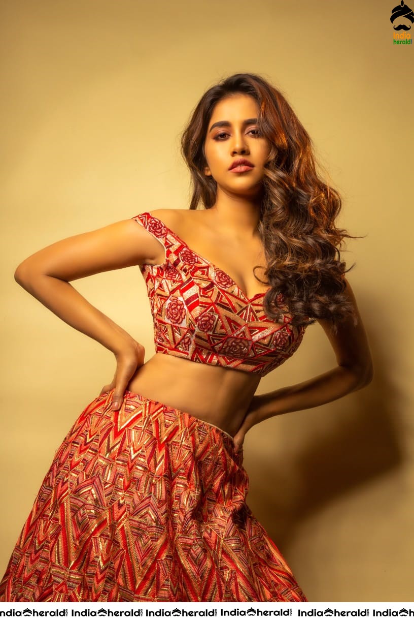 Nabha Natesh Shows her Sexy waist in this Latest Hot Photoshoot