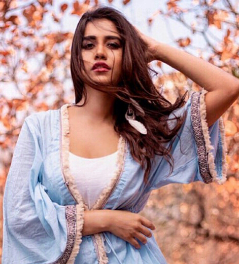 Nabha Natesh Tempting Hot Photoshoot Stills