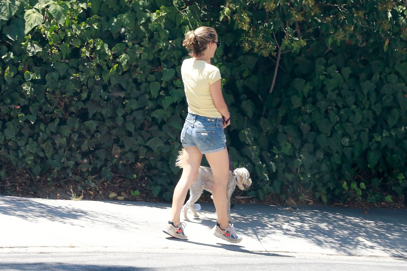 Natalie Portman In A Sexy Shorts Walking With Her Puppy In LA