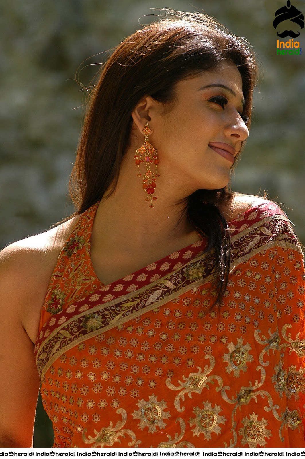 Nayanthara Vintage Hot Photos in Saree flaunting her Hot Hip and Back