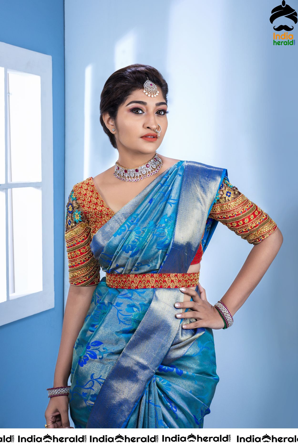 Neelima Hot Photoshoot Stills in Saree