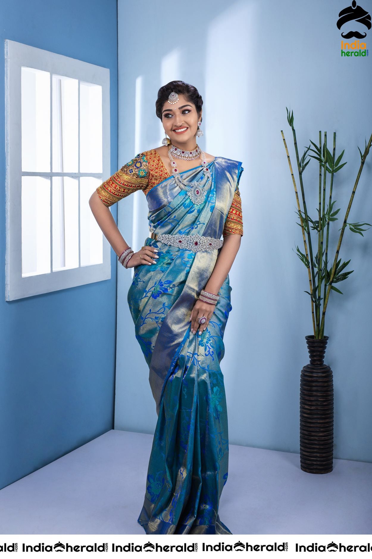 Neelima Hot Photoshoot Stills in Saree