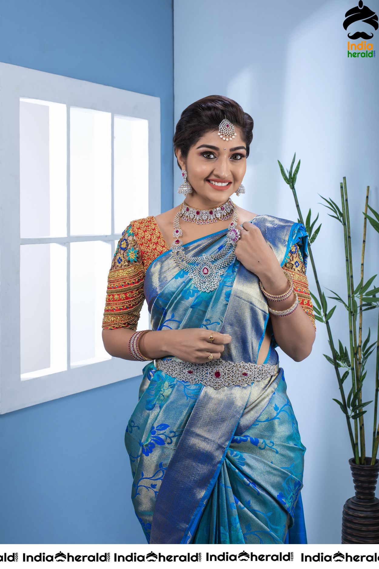 Neelima Hot Photoshoot Stills in Saree