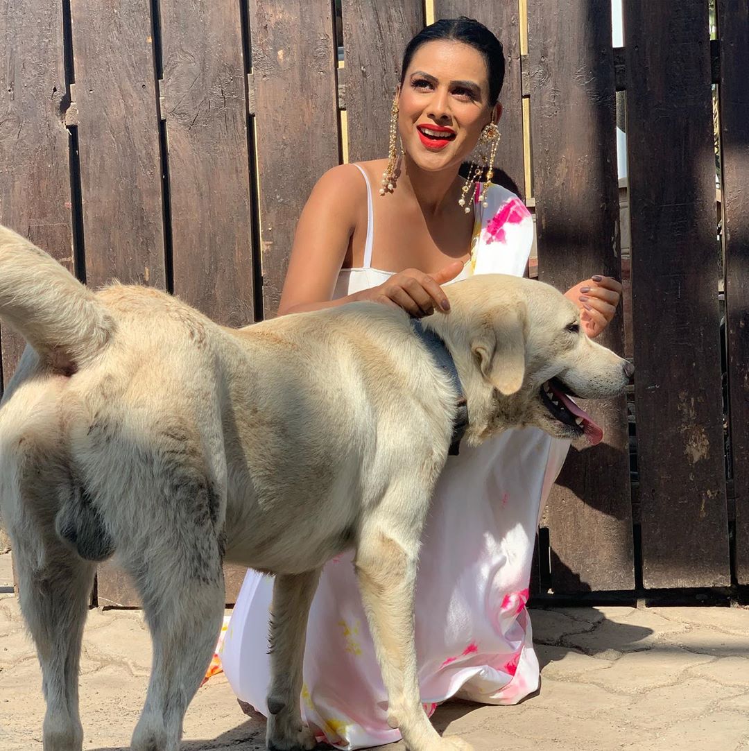 Nia Sharma Dizzling Hot Saree Photos