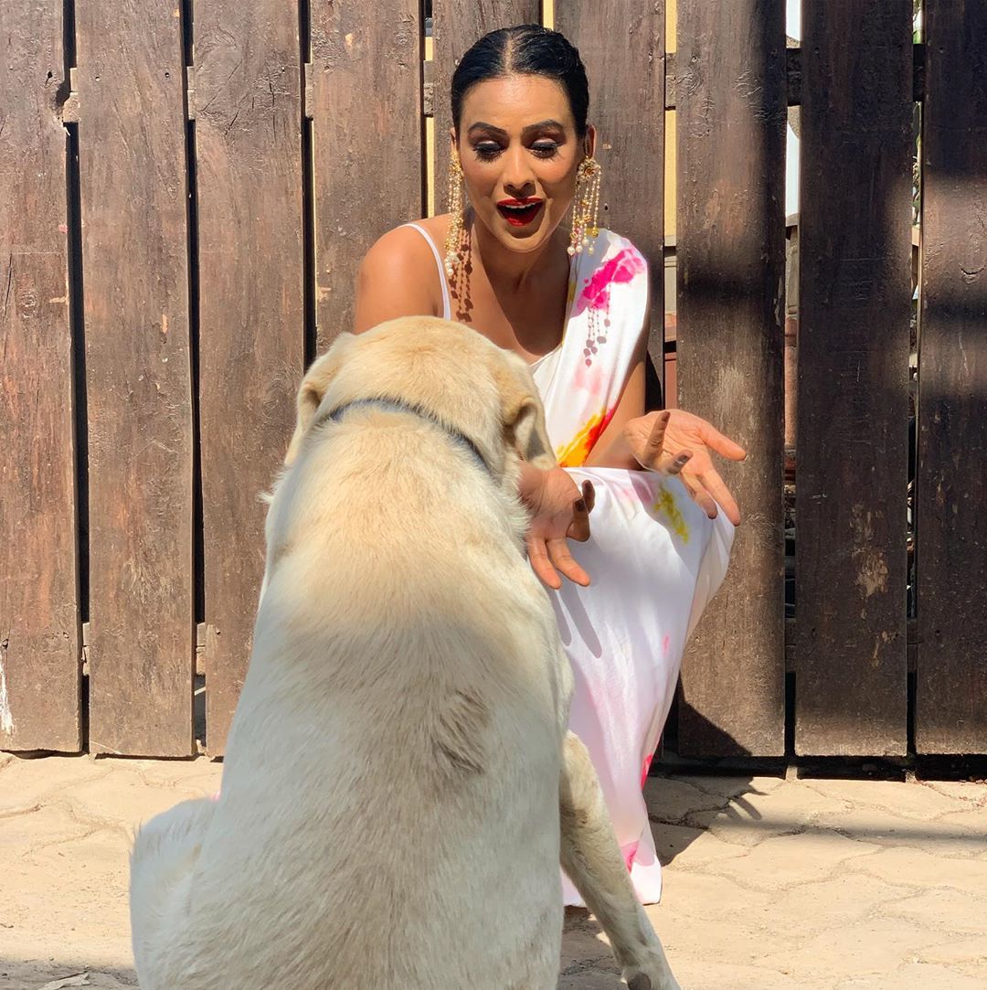 Nia Sharma Dizzling Hot Saree Photos