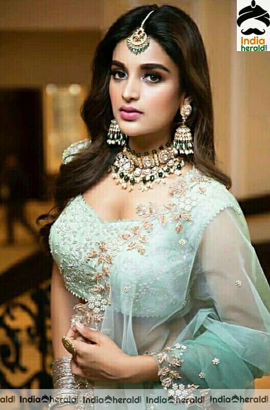 Niddhi Agerwal Hot Compilation Photo Stills