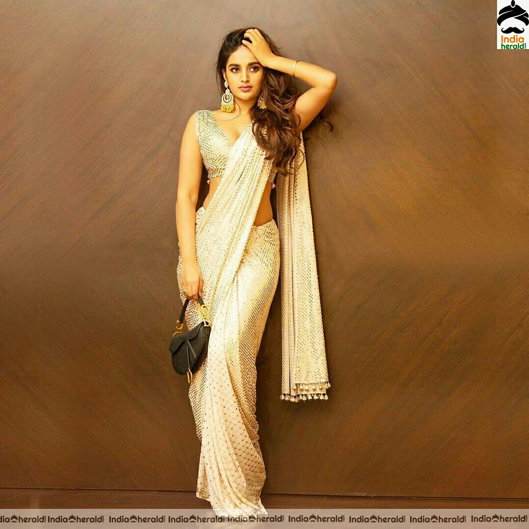 Niddhi Agerwal Hot Saree Photo Stills