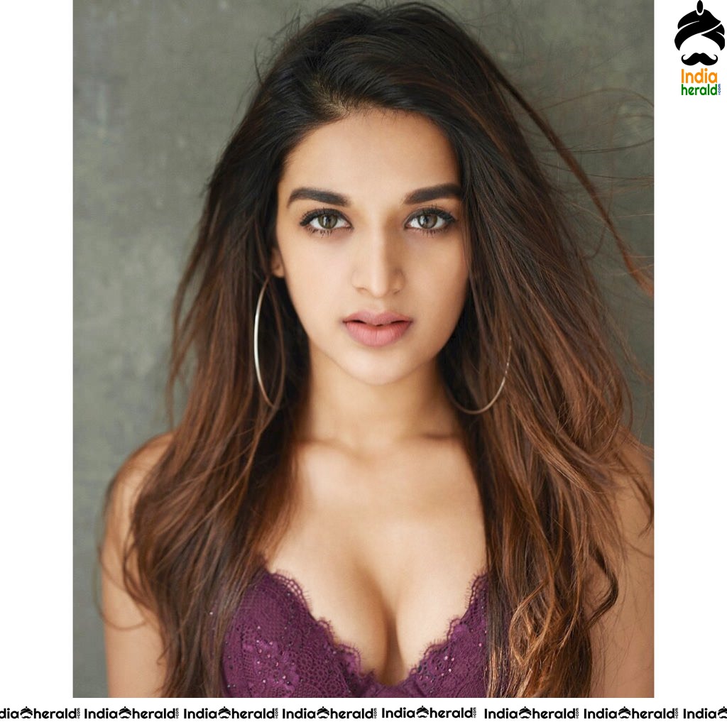 Nidhhi Agerwal Hot Photoshoot Pictures to Tempt your Mood