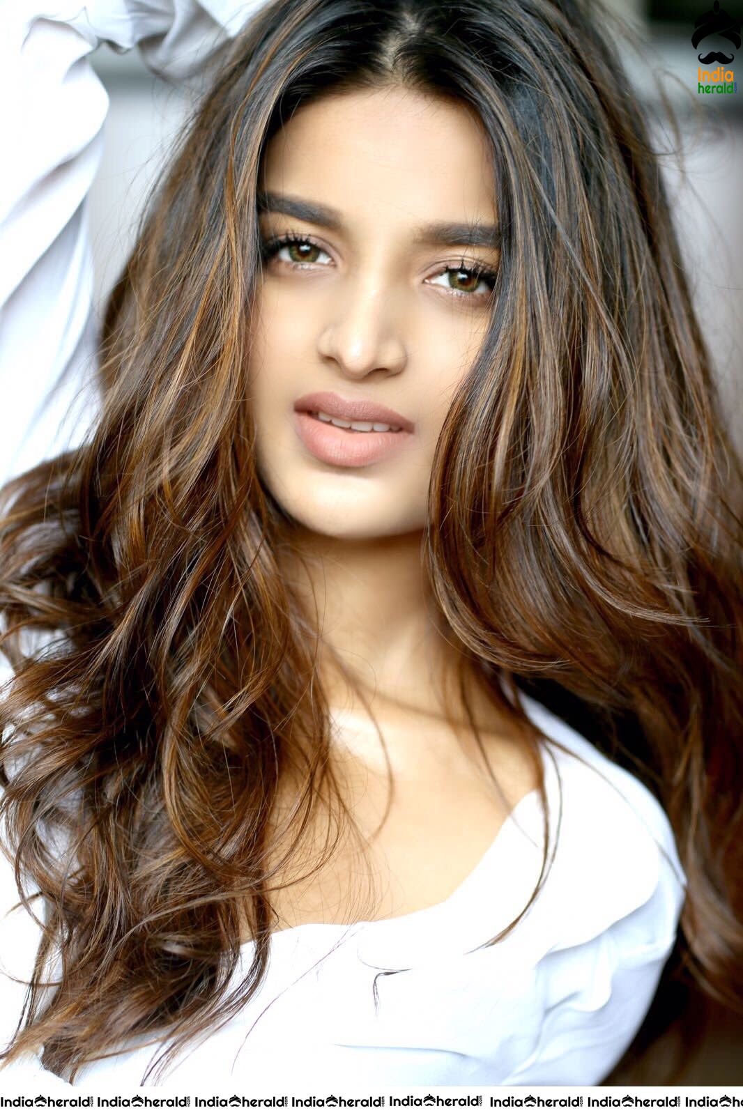 Nidhhi Agerwal Hot Photoshoot Pictures to Tempt your Mood