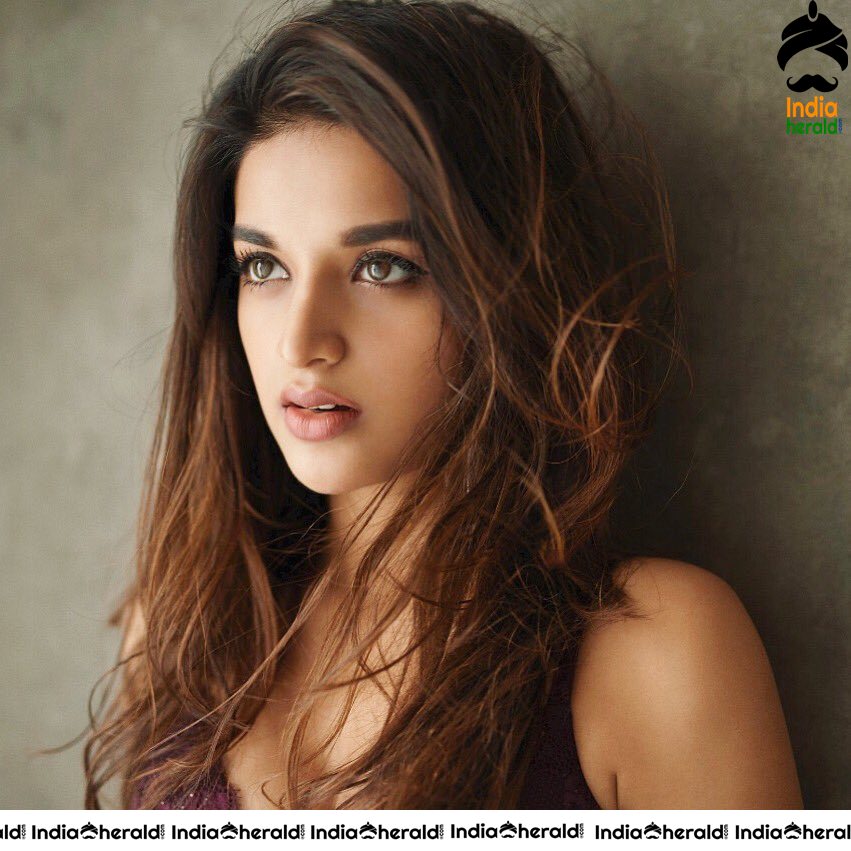 Nidhhi Agerwal Hot Photoshoot Pictures to Tempt your Mood