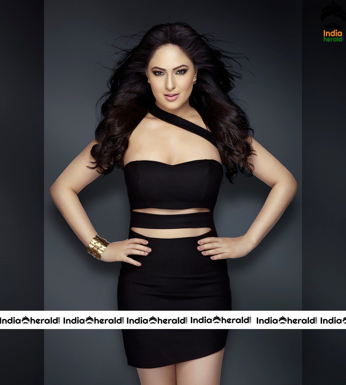 Nikesha Patel Showing Hotness In Black Sexy Dress
