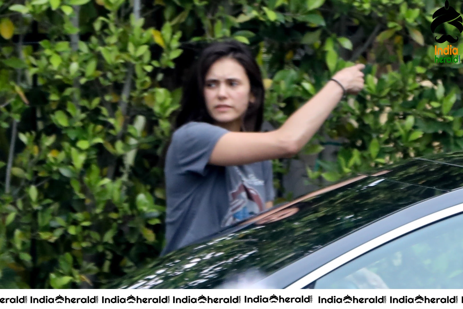 Nina Dobrev caught by Paparazzi while carrying furniture to a car in Los Angeles