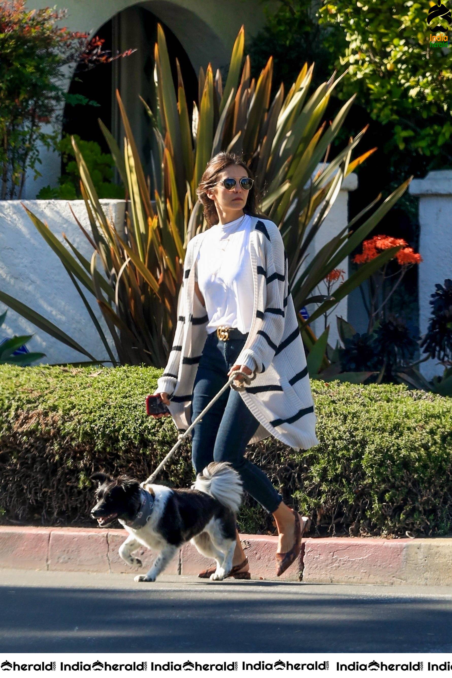 Nina Dobrev looking gorgeous while out for a walk with Maverick in LA